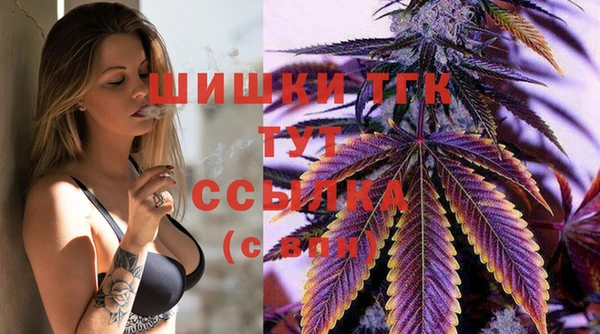 индика Россошь