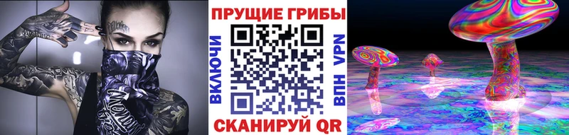 Псилоцибиновые грибы прущие грибы  Карасук 